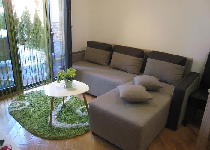 Jana 兹拉蒂博尔